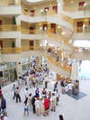 Golden Lotus Hotel 